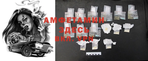 mdpv Каменногорск