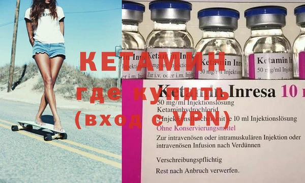 гидра Каменка