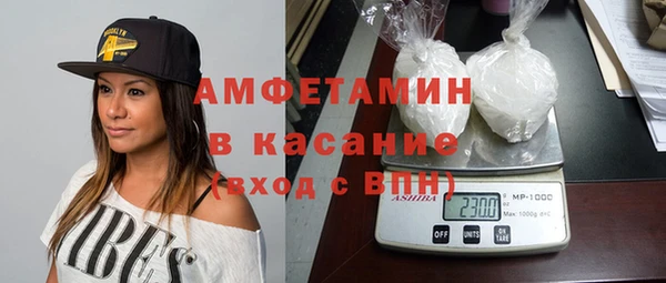 гидра Каменка
