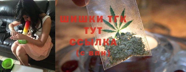 гидра Каменка