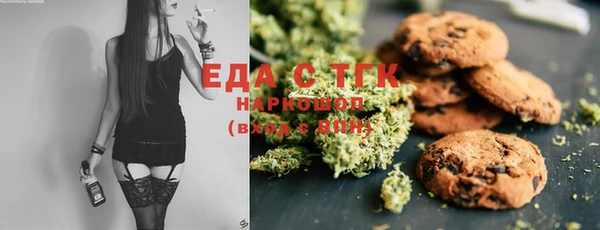 гидра Каменка