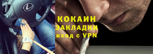 mdpv Каменногорск