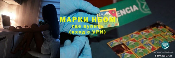 гидра Каменка