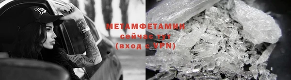 гидра Каменка