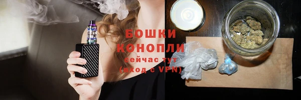 mdpv Каменногорск