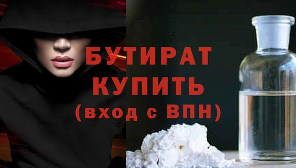 гидра Каменка