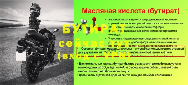 гидра Каменка