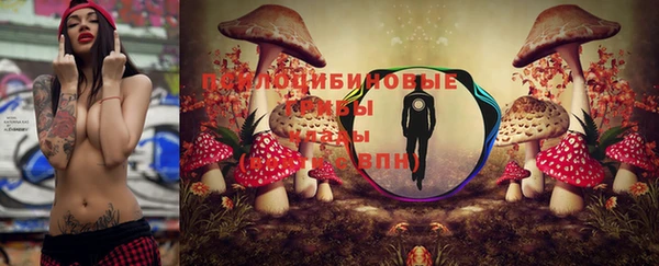 гидра Каменка