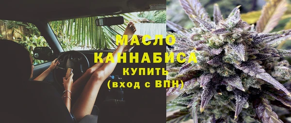 mdpv Каменногорск