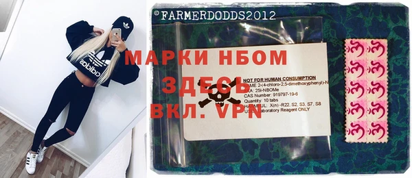 mdpv Каменногорск