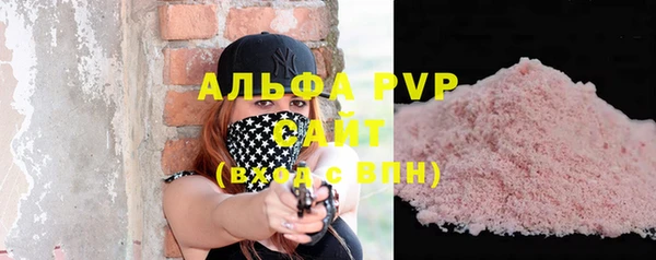 гидра Каменка
