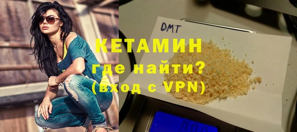 гидра Каменка